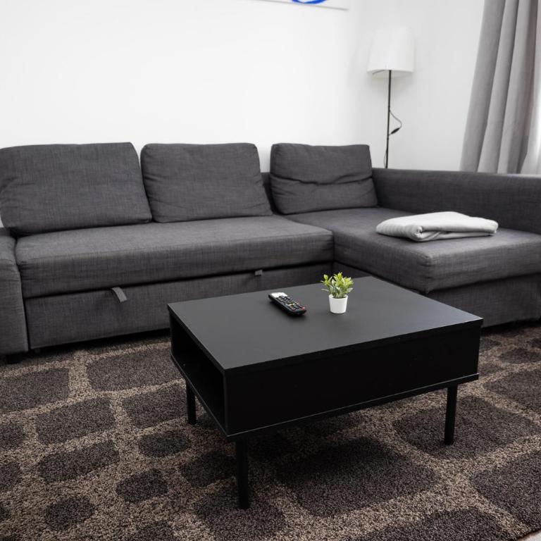 Le 3 Chambres Parking Proche Tram - Appartement - 7
