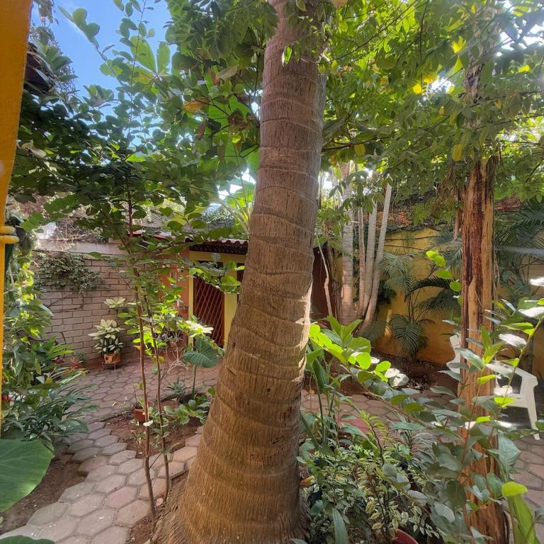Casa Icaco - Habitación Deluxe - 37