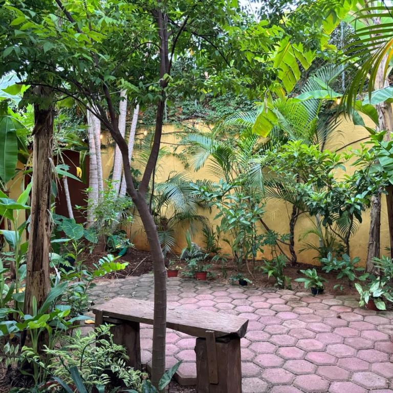 Casa Icaco - Habitación Deluxe - 13