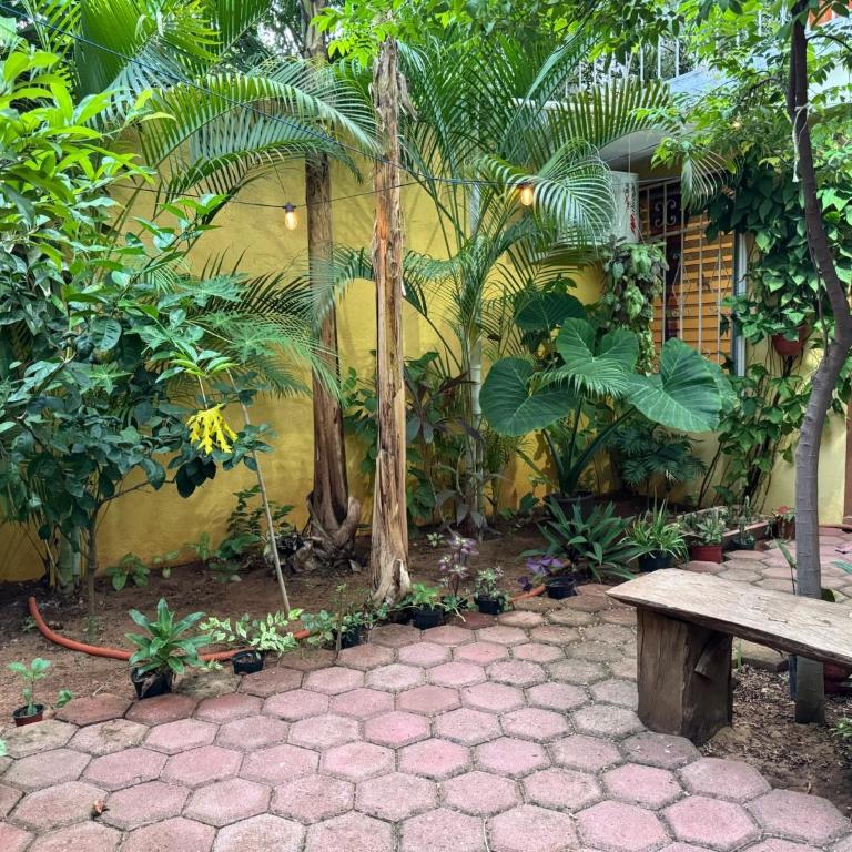 Casa Icaco - Habitación Doble - 2 camas - 13