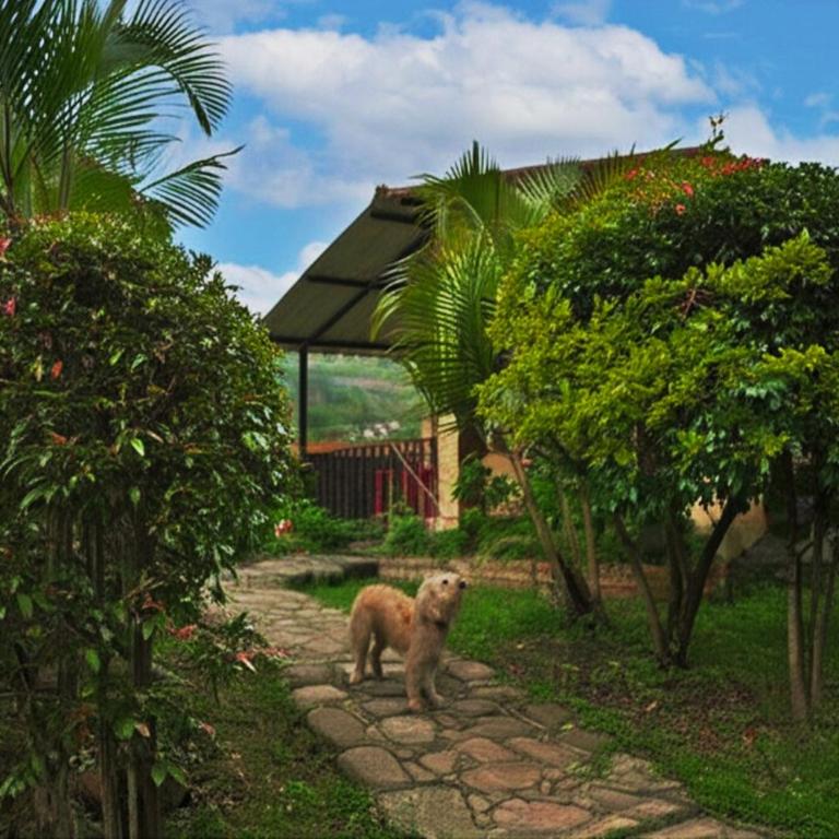 Hotel Campestre Rocas Del Paraíso - Casa de 2 dormitorios - 10