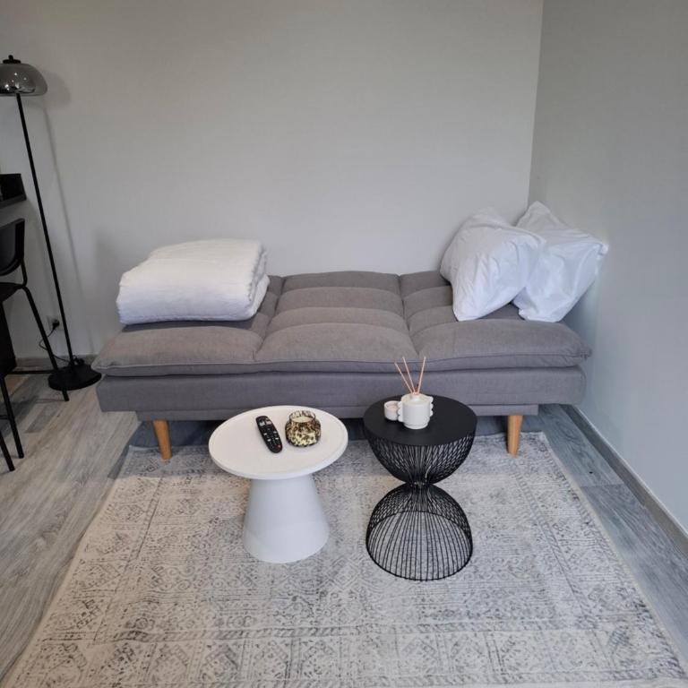 Appartement cosy proche centre-ville - Appartamento con 1 Camera da Letto - 4