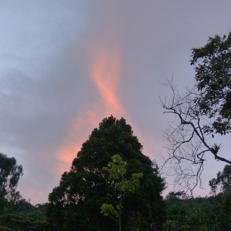 Casa Jade - One-Bedroom Apartment - 27