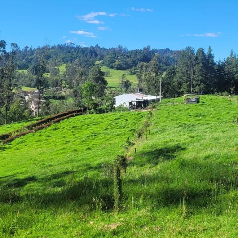 casa campestre completa las delicias - Five-Bedroom House - 8