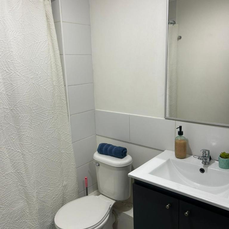 Amplio departamento céntrico - Three-Bedroom Apartment - 8