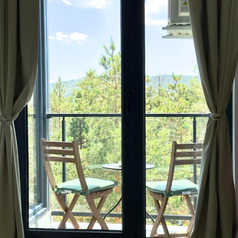 Dorin Kutak, Green Hills Divčibare - Apartman sa 1 Spavaćom Sobom - 19