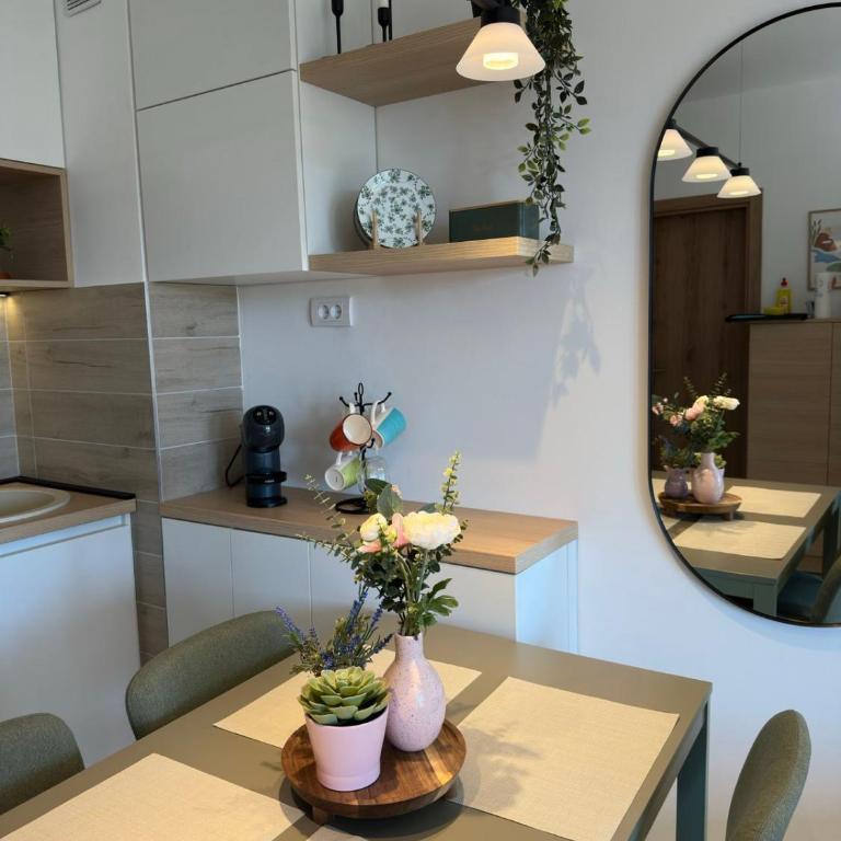 Dorin Kutak, Green Hills Divčibare - Apartman sa 1 Spavaćom Sobom - 8