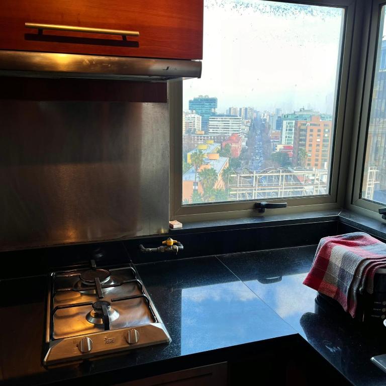 Confortable departamento en Providencia - One-Bedroom Apartment - 17