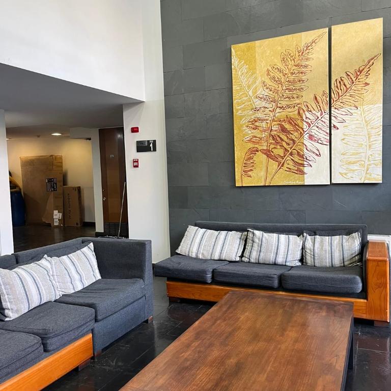 Confortable departamento en Providencia - One-Bedroom Apartment - 19
