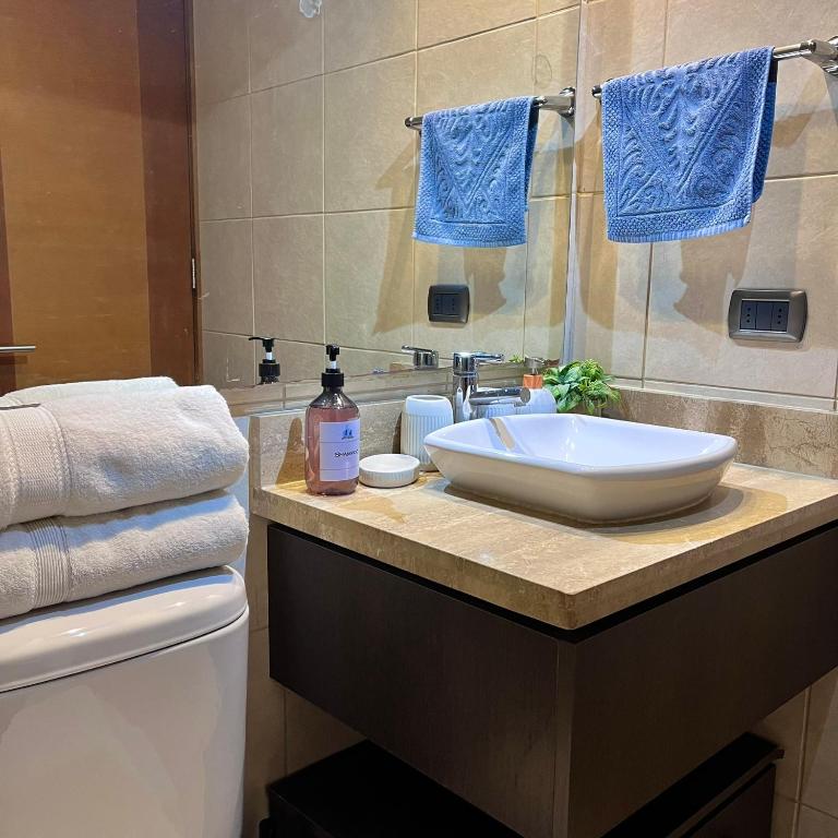 Confortable departamento en Providencia - One-Bedroom Apartment - 24