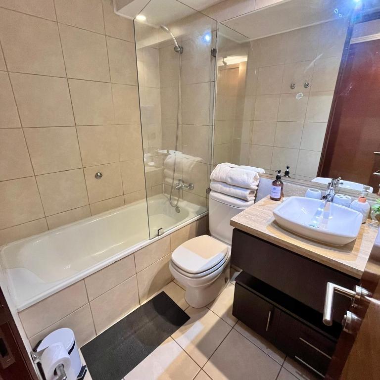 Confortable departamento en Providencia - One-Bedroom Apartment - 25