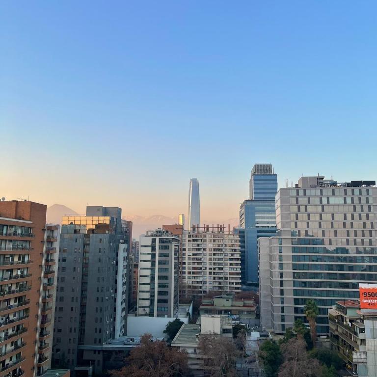 Confortable departamento en Providencia - One-Bedroom Apartment - 26