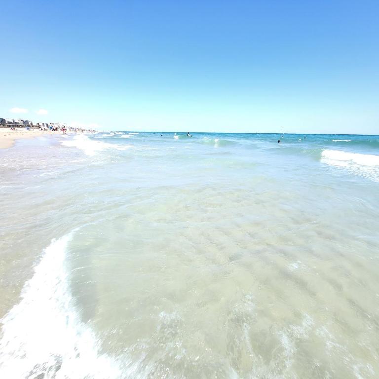 Petit paradis du 66,Canet Roussillon - Apartment mit 2 Schlafzimmern - 6