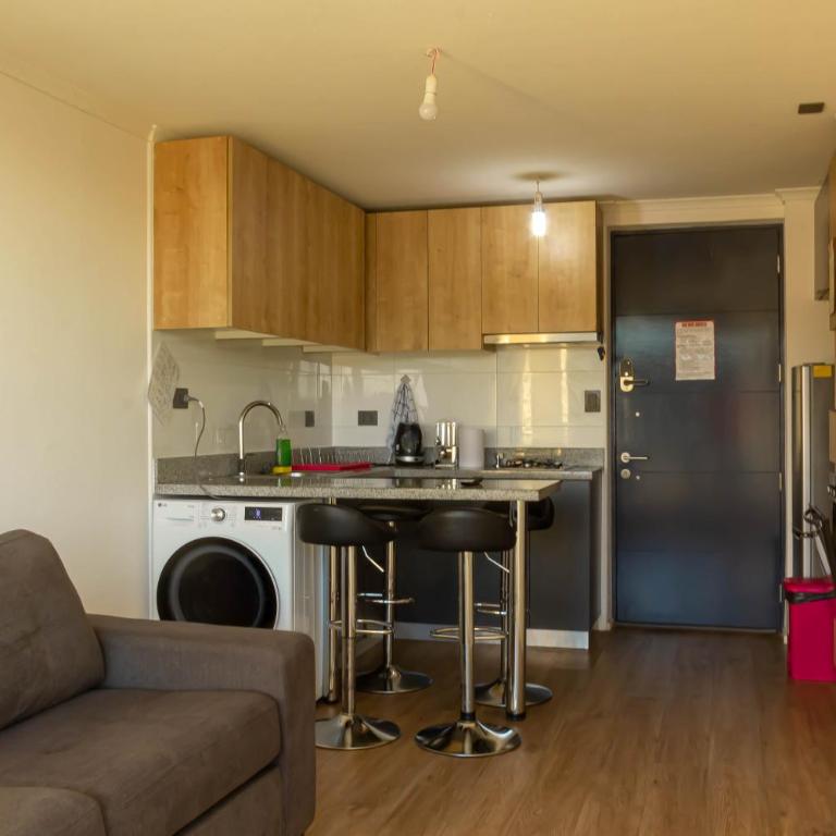 Exclusivo Depto 1D1B 3 camas y estacionamiento - Apartamento de 1 dormitorio - 2