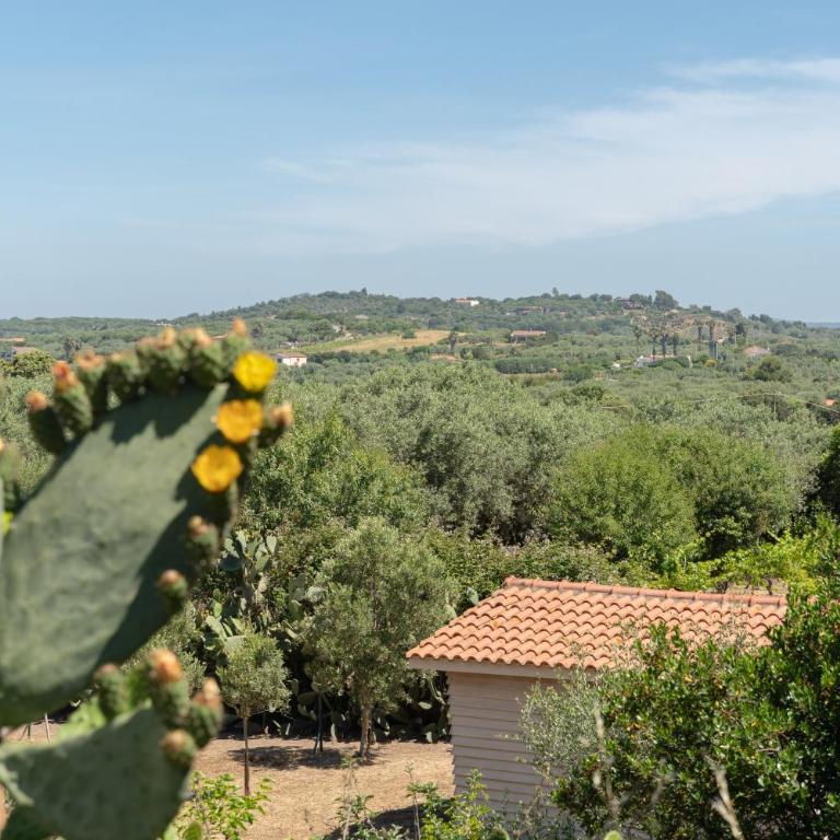 Villa Olia - Villa con 2 Camere da Letto - 13