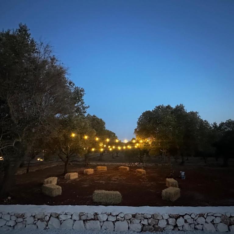 Dimora Deserto - Ancient Trullo with Private Pool and Olive Grove - Villa con 2 Camere da Letto - 42