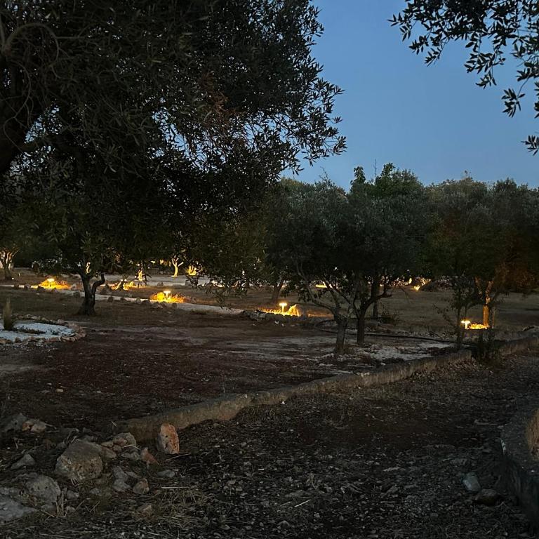 Dimora Deserto - Ancient Trullo with Private Pool and Olive Grove - Villa con 2 Camere da Letto - 43