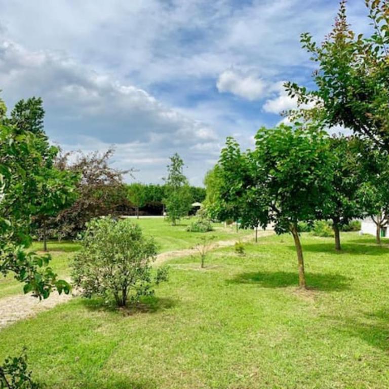 the green home - Appartamento con 2 Camere da Letto - 75