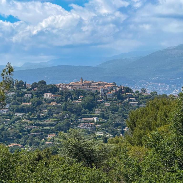 Cannes Villa Sarah - Luxury Villa in Mougins - Villa - 43