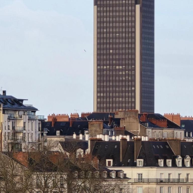 Vue exeptionnelle sur Nantes - Apartment mit 1 Schlafzimmer - 12