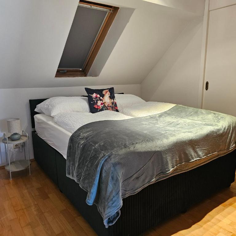 Rebenglück - Apartamento de 1 dormitorio - 7