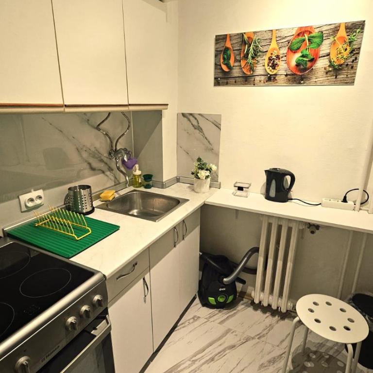 Green Residence - One-Bedroom Apartment - 9