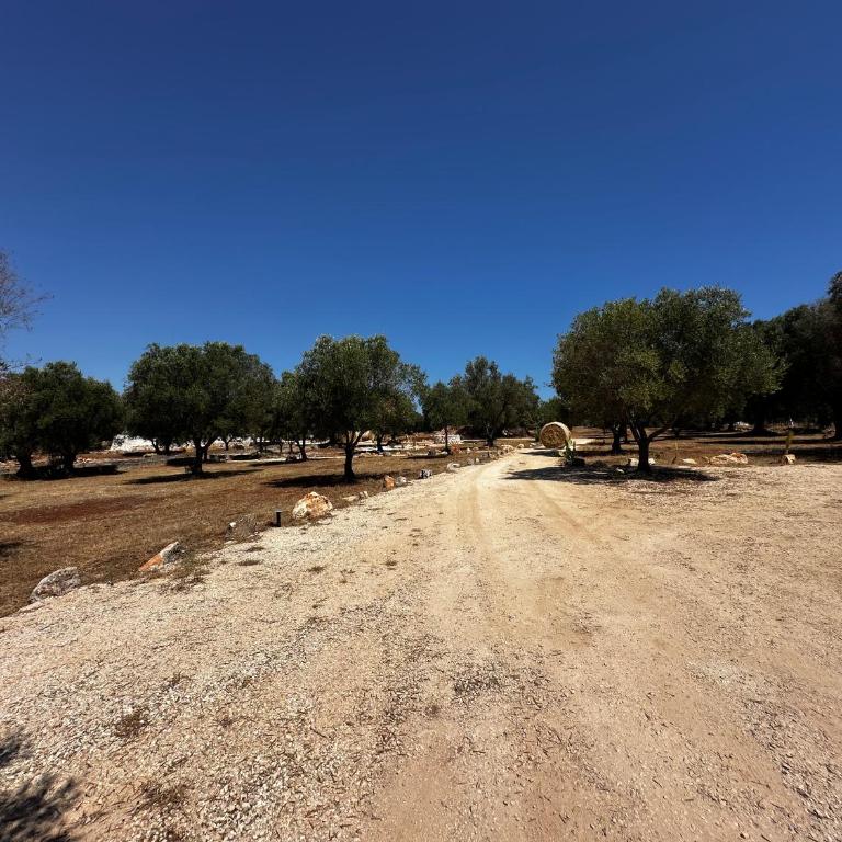 Dimora Deserto - Ancient Trullo with Private Pool and Olive Grove - Villa con 2 Camere da Letto - 25