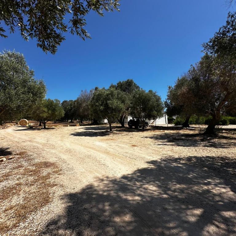 Dimora Deserto - Ancient Trullo with Private Pool and Olive Grove - Villa con 2 Camere da Letto - 45