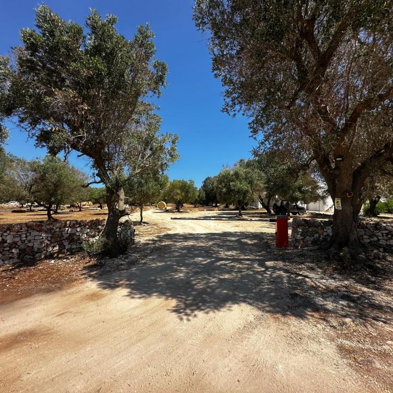 Dimora Deserto - Ancient Trullo with Private Pool and Olive Grove - Villa con 2 Camere da Letto - 46