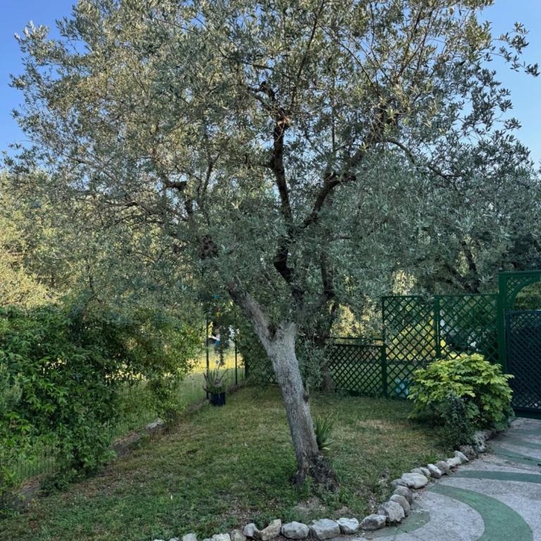 La Rovettina Pet friendly house - Casa con 1 Camera da Letto - 26