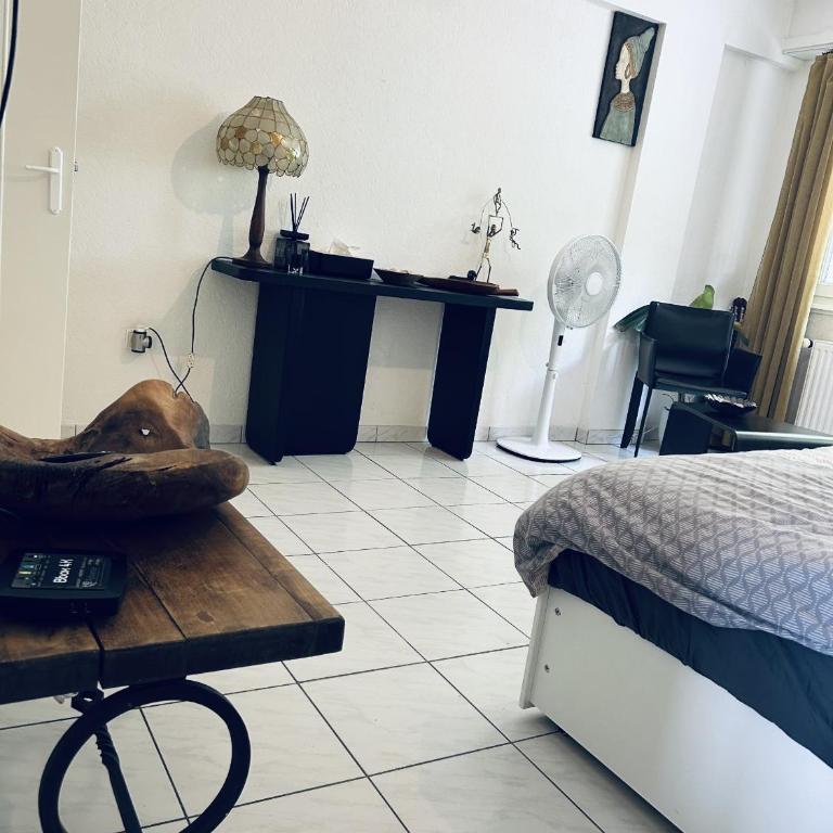 Nid sympa a illkirch Strasbourg - Apartamento de 1 dormitorio - 4