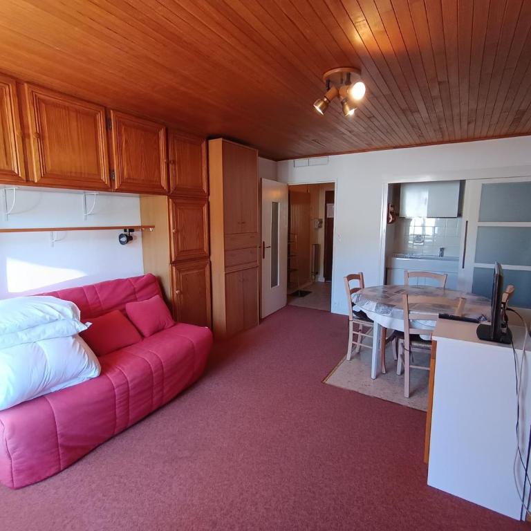 Studio abordable proche pistes, balcon sud, animaux admis - FR-1-445-90 - Estudio - 1