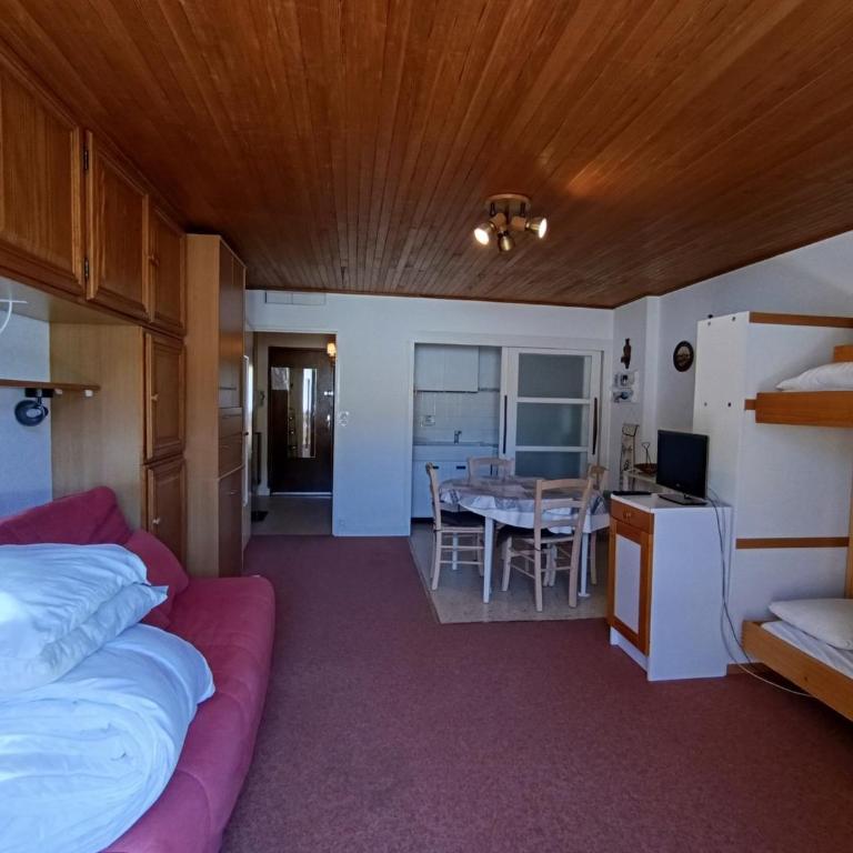 Studio abordable proche pistes, balcon sud, animaux admis - FR-1-445-90 - Estudio - 11