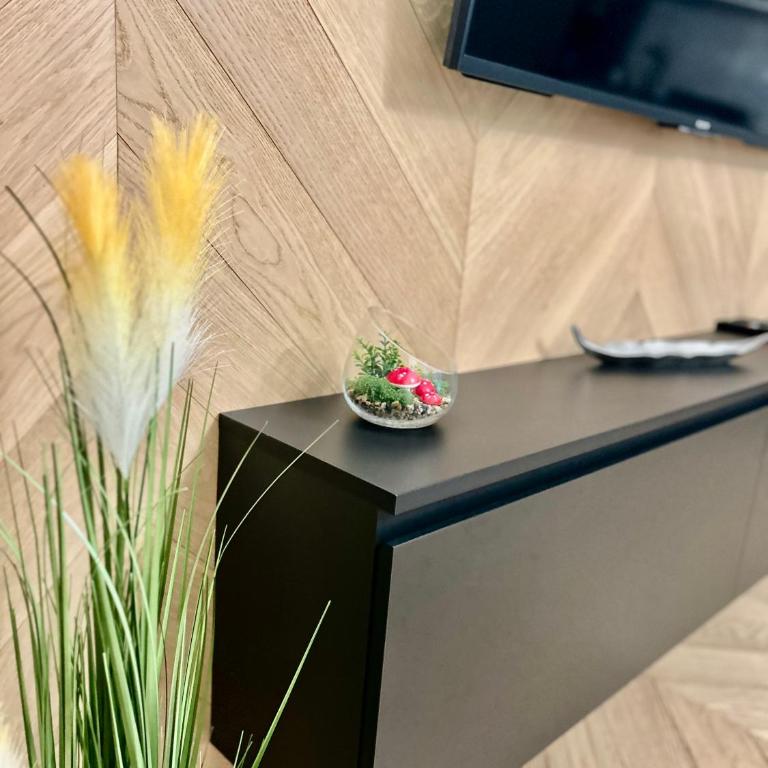 Apartman Venecija Banja Luka - Apartman - 13