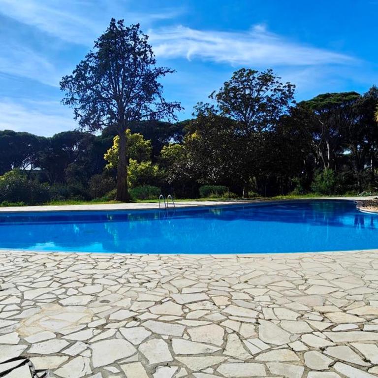 Spacious T3 with balcony - beautiful sea view - Apartment - 25