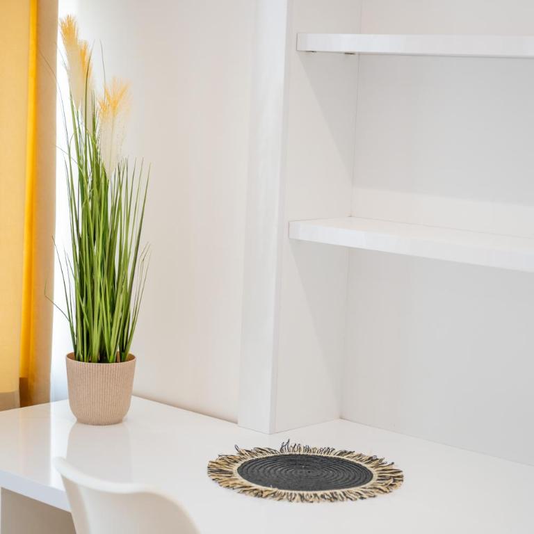 Apartman Simonovic - One-Bedroom Apartment - 17