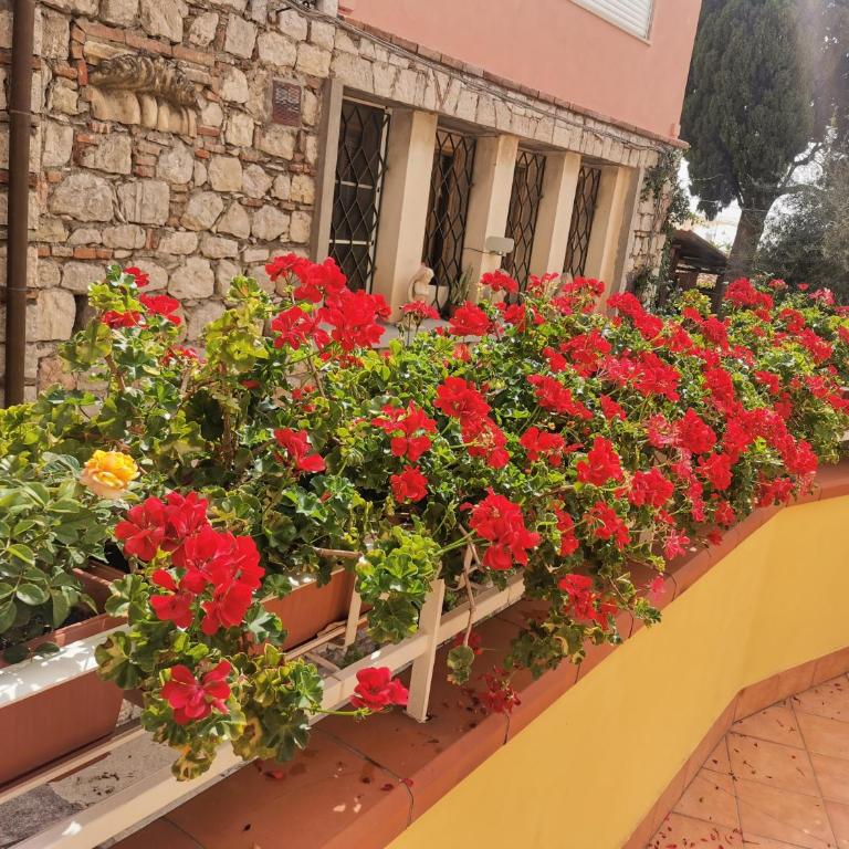 La Cartolina Apartment - Appartamento con Terrazza - 8