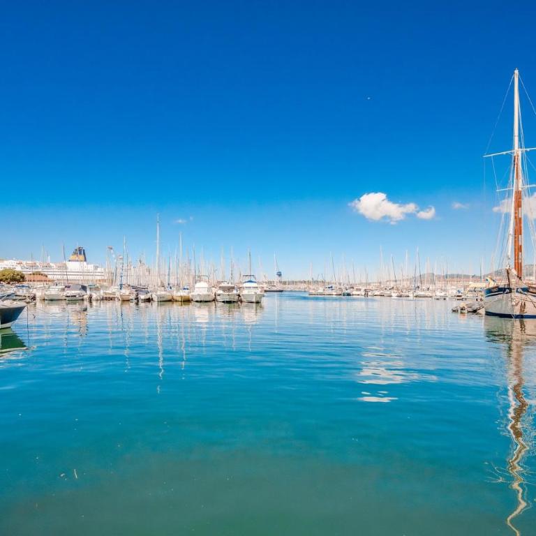 Appartement Port Marchand - Apartamento de 1 dormitorio - 14