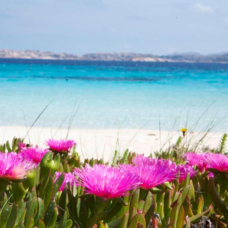 Bilancia VI - Sea View Apartment - 30'Porto cervo - Two-Bedroom Apartment with Terrace and Sea View - 37