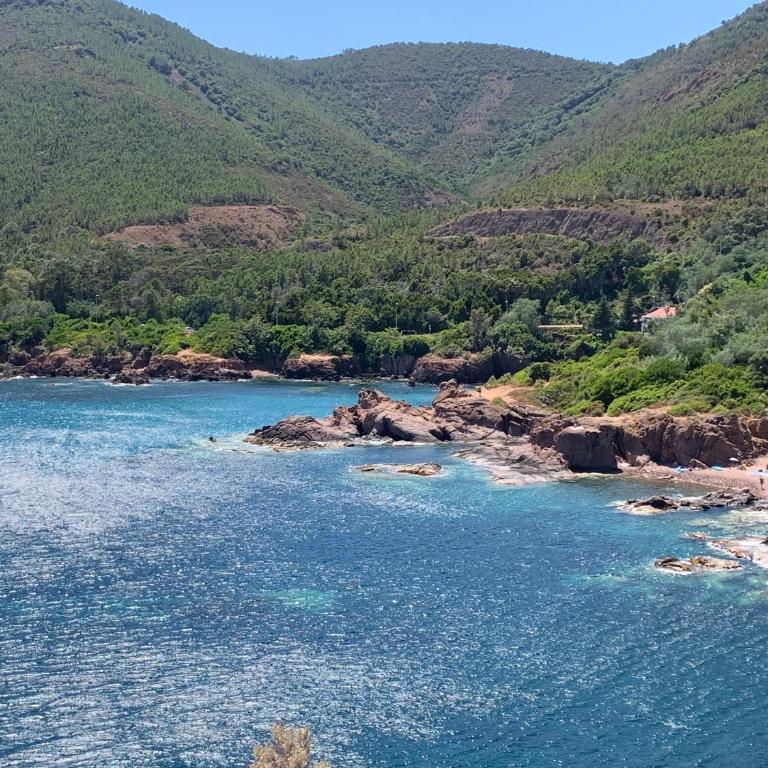 Cap Neree Petit coin de paradis pieds dans l eau - Appartamento con 1 Camera da Letto - 33