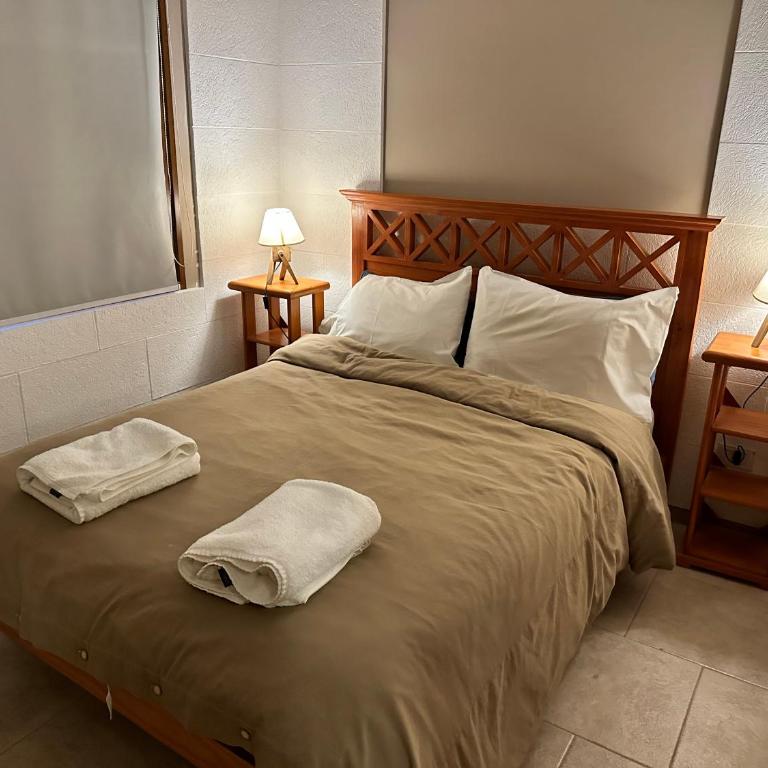 nido catedral - Apartamento de 1 dormitorio - 14