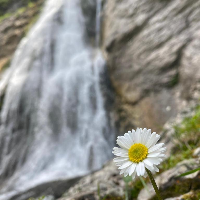 Villa Herzland Allgäu mit großem Garten und gemütlichem Kaminfeuer inklusive KÖNIGSCARD, Skipass, Bergbahn, Therme inkl - Villa mit 3 Schlafzimmern - 39