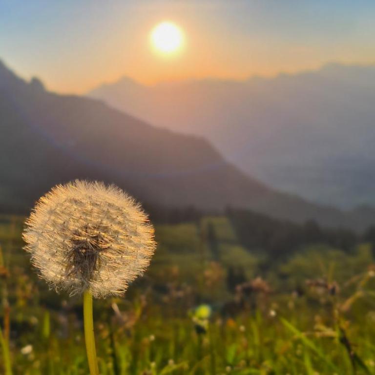 Villa Herzland Allgäu mit großem Garten und gemütlichem Kaminfeuer inklusive KÖNIGSCARD, Skipass, Bergbahn, Therme inkl - Villa mit 3 Schlafzimmern - 41