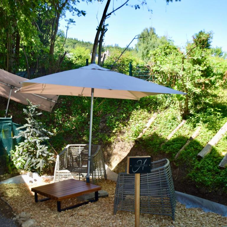 Studio Apartment in Swiss Chalet - Garden views of Mont Blanc - Deluxe Studio - 31