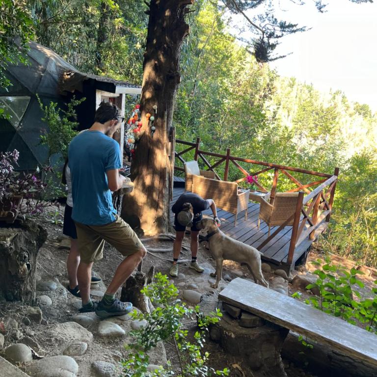 Domos Temuco, Cumbres del Conunhuenu - Apartamento de 1 dormitorio - 5