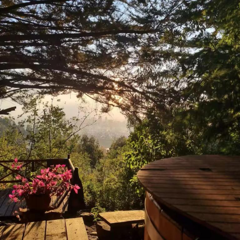 Domos Temuco, Cumbres del Conunhuenu - Apartamento de 1 dormitorio - 8