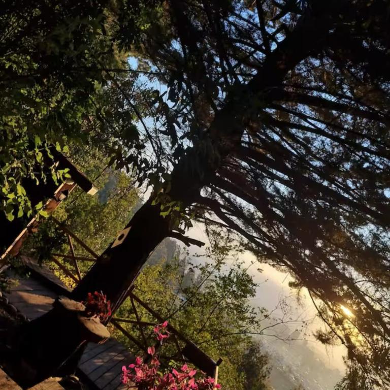 Domos Temuco, Cumbres del Conunhuenu - Apartamento de 1 dormitorio - 13