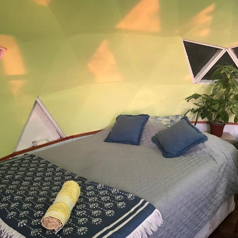 Domos Temuco, Cumbres del Conunhuenu - Apartamento de 1 dormitorio - 19