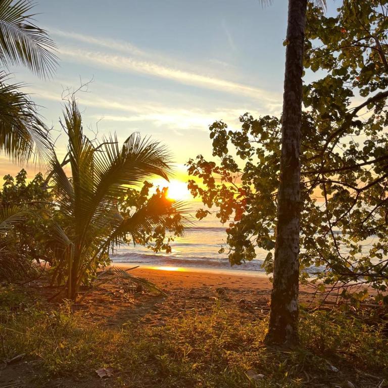Casa Caimito - Triple Room with Balcony - 2