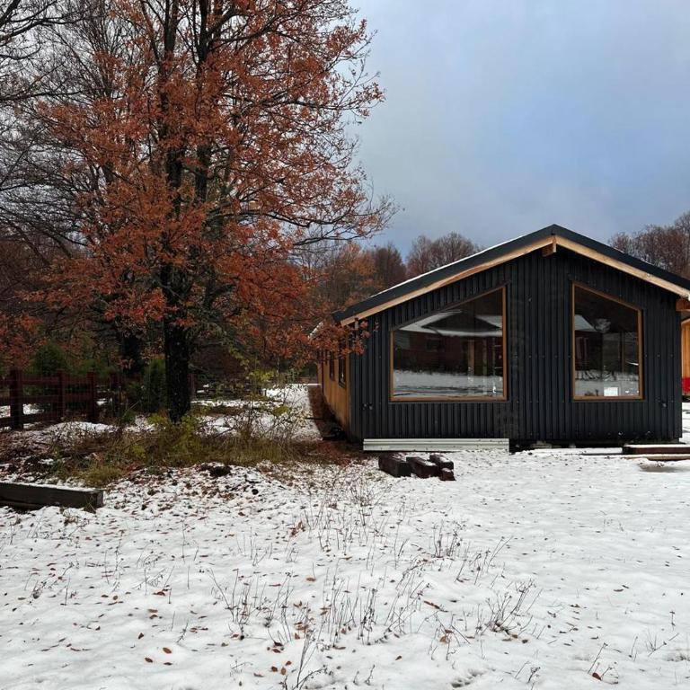 Casa Alaska - One-Bedroom Apartment - 8